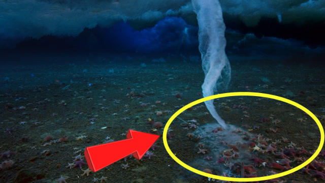 南极恐怖"死亡冰柱",到底是咋回事?专家:地球发出的警告!