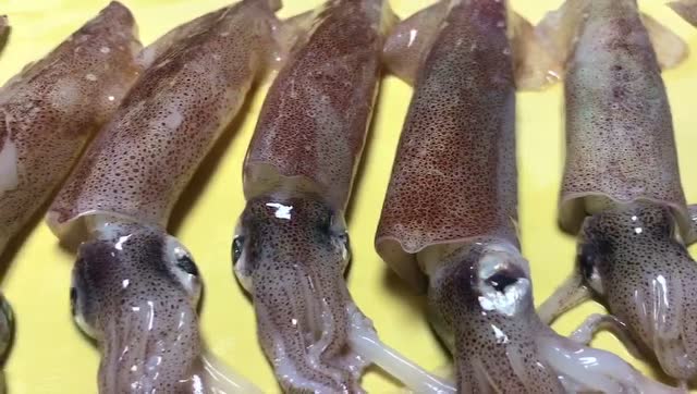解冻后的吹筒鱿鱼,新鲜看得见