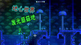 天铭 泰拉瑞亚 1.3手机版 11 发光蘑菇地的美味特产
