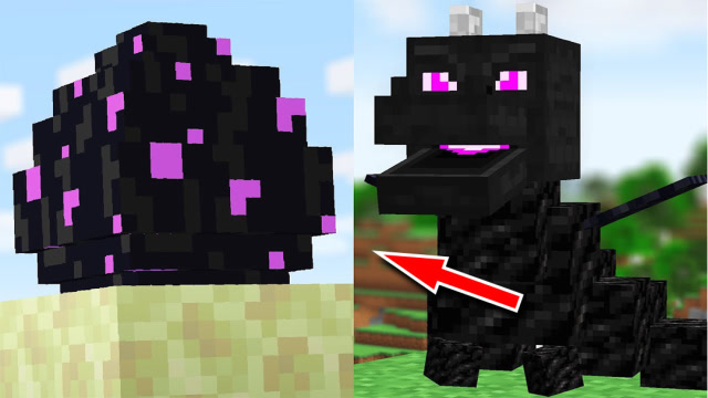 我的世界:孵化末影龙就是这么简单,它会认你当主人