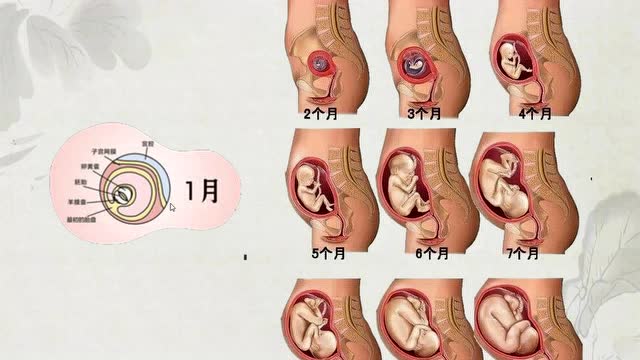 《佛说优婆塞五戒相经》浅释04——顿律法师