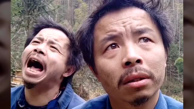 养蜂人神经哥一曲《一个人挺好》爆火网络,好听至极!