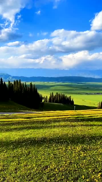 用十五天时间拍的伊犁五月美景,看完你会发现新疆,爱上美丽的新疆