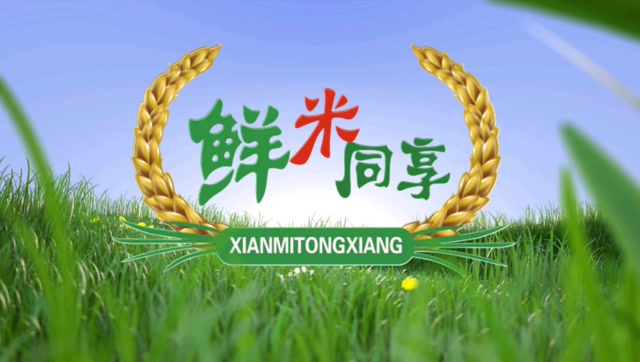 水归源〕现碾鲜米机