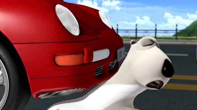 倒霉熊:倒霉熊这样值得吗?为什么被车撞了还松一口气?