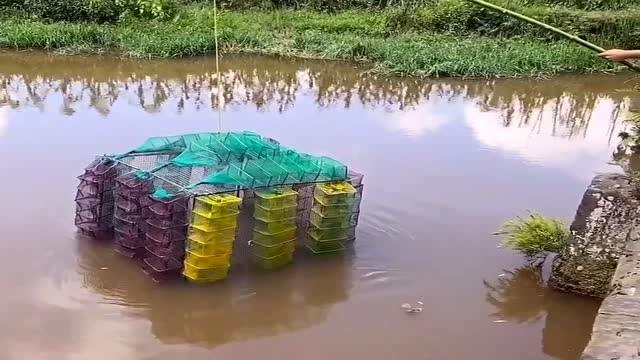 农村小伙带着表妹来抓鱼了,这捕鱼陷阱厉害了,肯定能抓到大货!