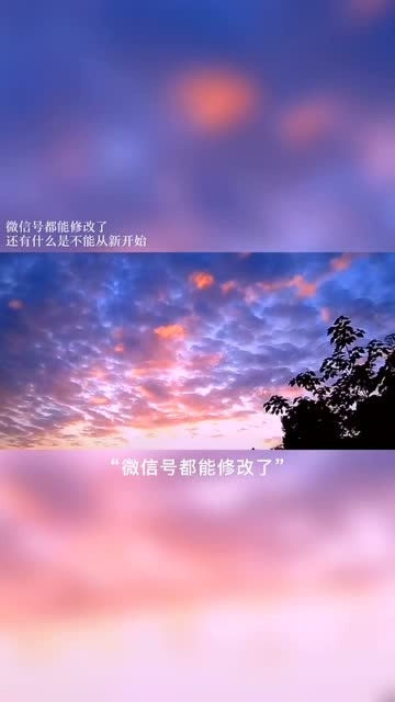 微信号都能修改了我们也重新开始好不好