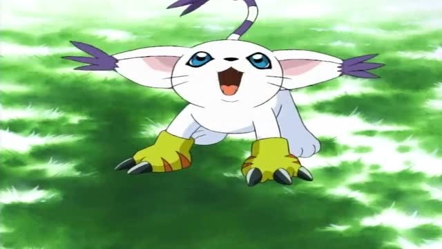 数码宝贝:嘉儿竟然把吸血魔兽的部下带到家里了!