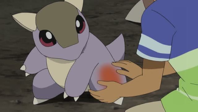 精灵宝可梦:小袋兽接受了小刚的治疗,小刚没有辜负大家的期望