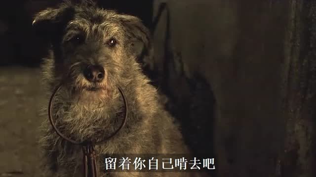 《加勒比海盗》动物明星盘点--钥匙狗