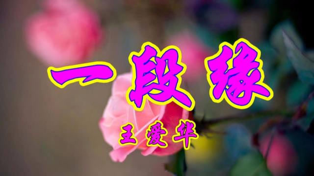 王爱华一首网络情歌《一段缘》伤感极了