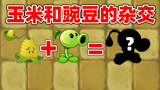 植物大战僵尸TAT1：豌豆射手和玉米射手杂交后产生了它！