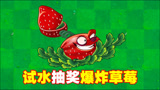 植物大战僵尸：试水抽奖爆炸草莓！
