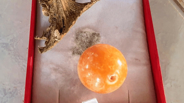 泰国贫穷渔民捡到价值百万"龙珠",自称受白胡子老人托梦指引