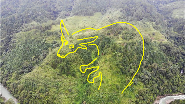 山中一头"牛",形状栩栩如生,活灵活现,真是个风水宝地!