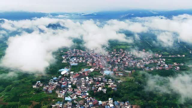 美丽灵川甘草村