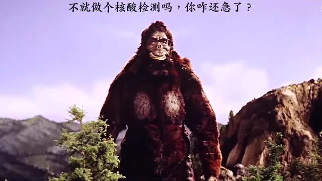 金刚和哥斯拉打架的原因找到了,不就是做个核酸,至于吗!