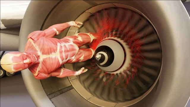 真实还原人体被飞机发动机吸入,瞬间灰飞烟灭的全过程