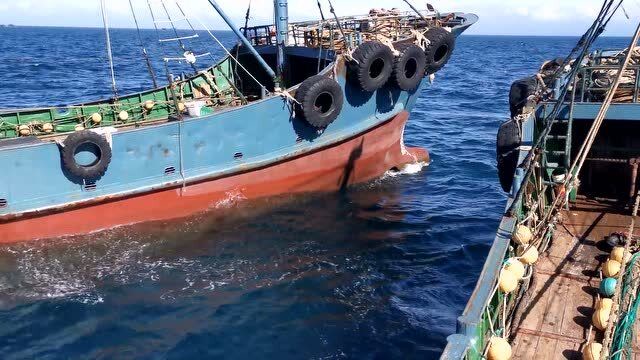 3分钟带你观看价值1200万的双拖大渔船深海真实捕鱼全过程