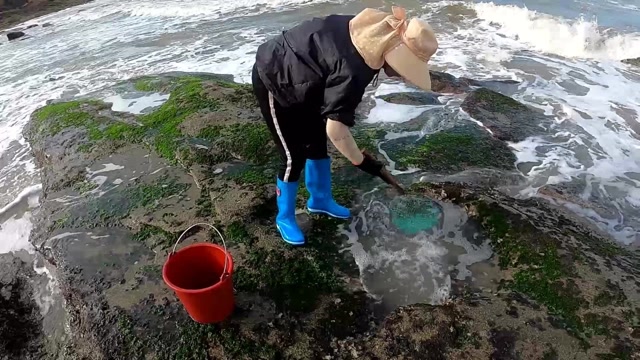 吴嫂赶海运气真不错,一声巨响,跑近一看竟是3斤多巨货搁浅水坑