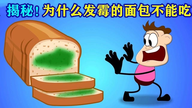 为什么面包发霉不能吃,答案你肯定没想到!#"知识抢先知"征稿大赛