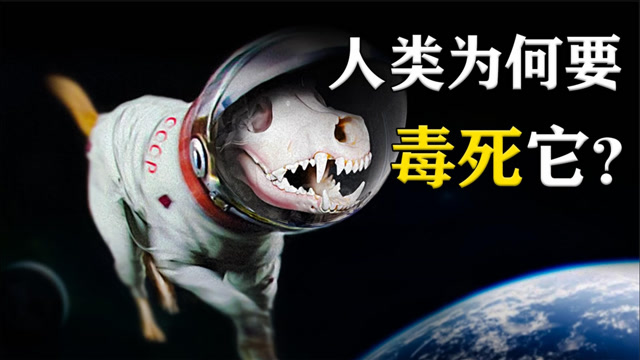 第一只进入太空的狗,在宇宙飘了63年,人类为何要毒死它?