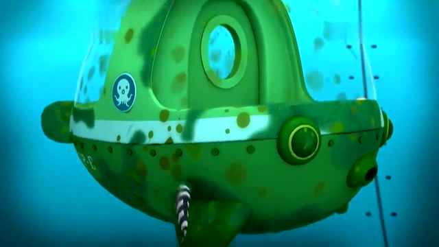 引水鱼最爱吃脏东西,呱唧这回不用愁,有人帮忙打扫