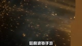 哈利波特魔法觉醒：双胞胎兄弟把戏坊还原，喜剧效果满满