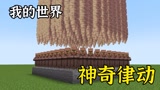 我的世界：小舞发现的神奇律动，每一个都震撼全场！