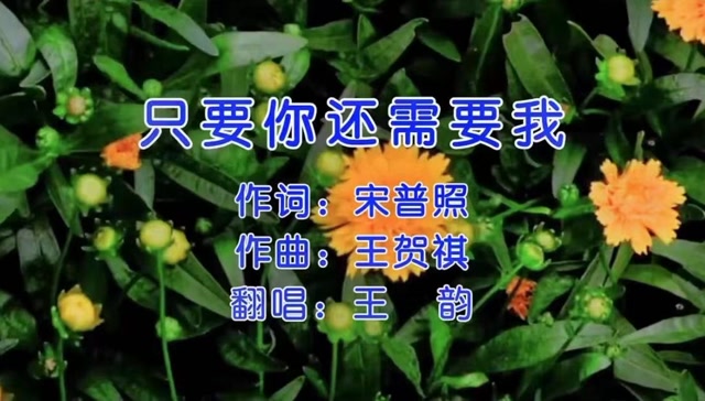 不知王韵抽了多少烟才能熏出这嗓音《 只要你还需要我 》--- 晓明影音