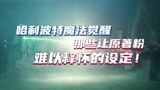 哈利波特魔法觉醒：那些让原著粉难以释怀的设定！