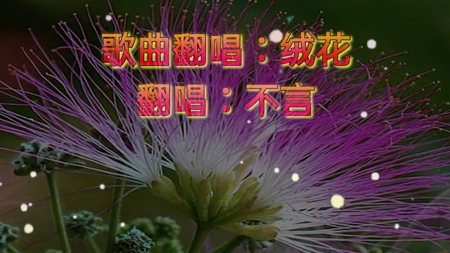 歌曲翻唱:再唱经典《绒花》