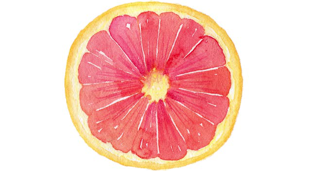 水彩西柚,寻找另一半