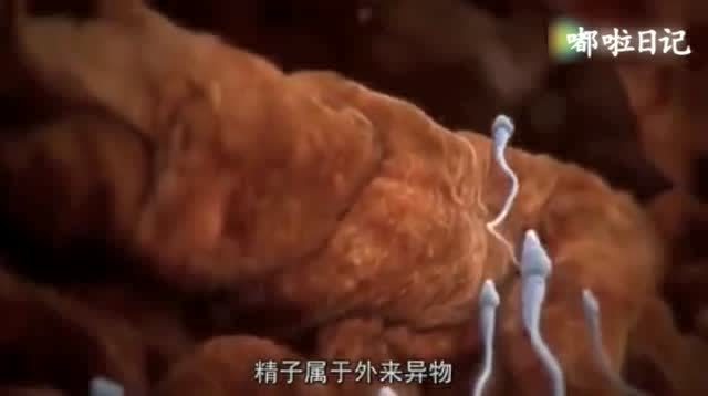 好神奇呀!直击女性受精全过程,生命太伟大了!