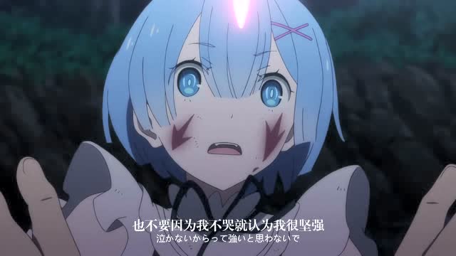 蕾姆只要做蕾姆就好了