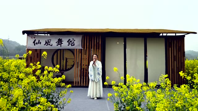 【仙风舞馆】花海雅集 老师学生展示合辑