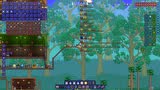 泰拉瑞亚 terraria 汉化版MOD 27 笨鸟先森！