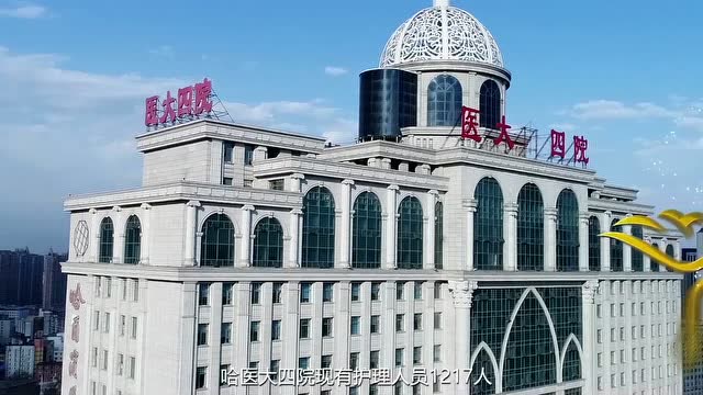 哈医大四院5·12护士节视频