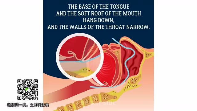 抽烟的和身边有抽烟的人,好好看下这视频!