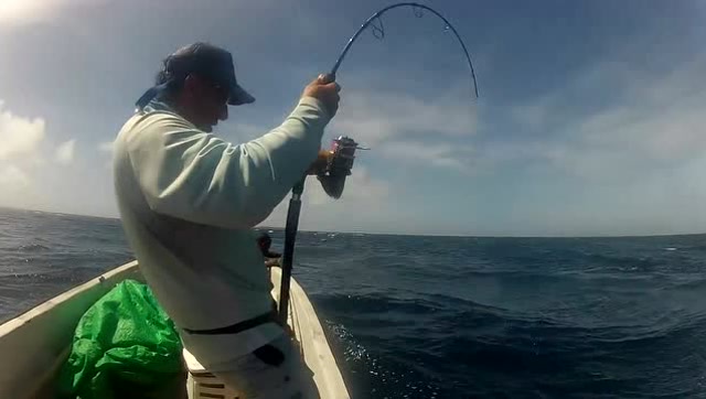 外国人在巴布亚新几内亚海面上钓到超大的犬齿金枪鱼