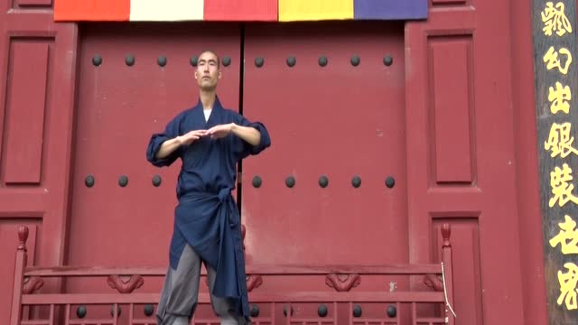 五台山竹林寺第十三届夏令营 少林寺延韸法师演绎少林寺通臂拳