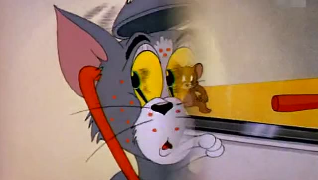 猫和老鼠——斑点猫