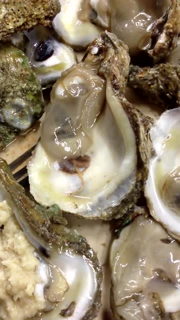 生蚝一定加热吃寄生虫太可怕