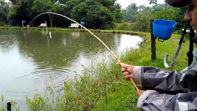 钓鱼:体验竹竿钓鱼,韧性很强!