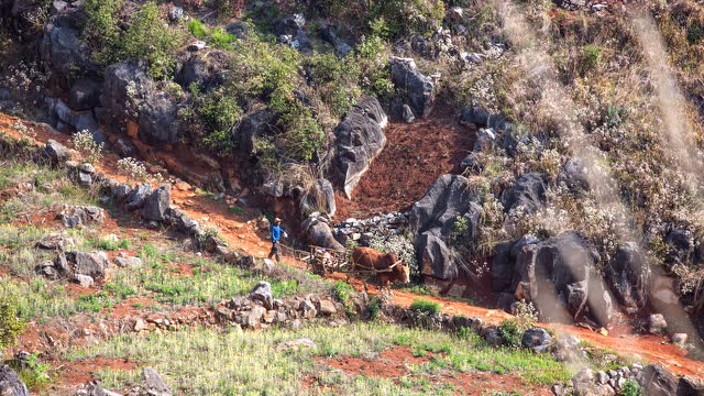 航拍云南砚山黑巴草场 遍布风车的高山草原
