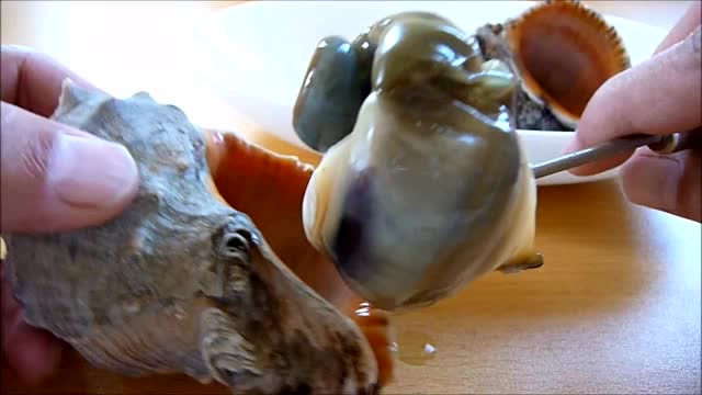 日本留学生买来海螺料理又肥又大,这是生吃吗嚼起来咯吱咯吱响