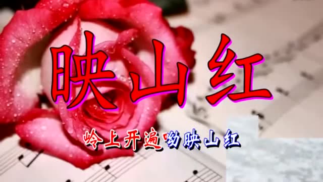 晚上好!刘紫玲一曲《映山红》,经典翻唱不输原唱,好听极了!