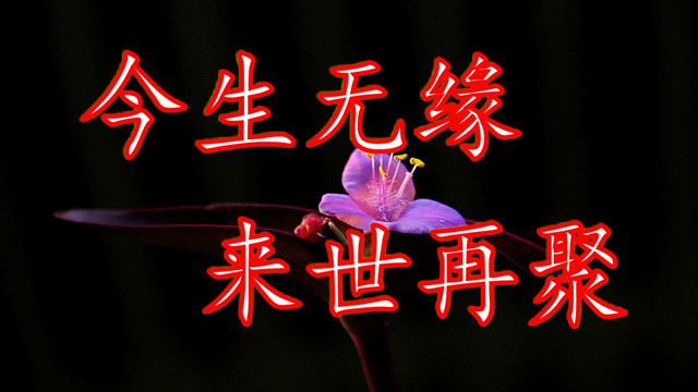 一曲《今生无缘来世再聚》唱的心酸!