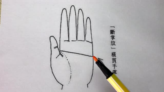 贯通手之人,好运迟早会到来,一定是财运亨通,事业顺心如意