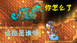 天铭 泰拉瑞亚 仙人掌MOD 17 卧龙海马，奇怪的名字！terraria